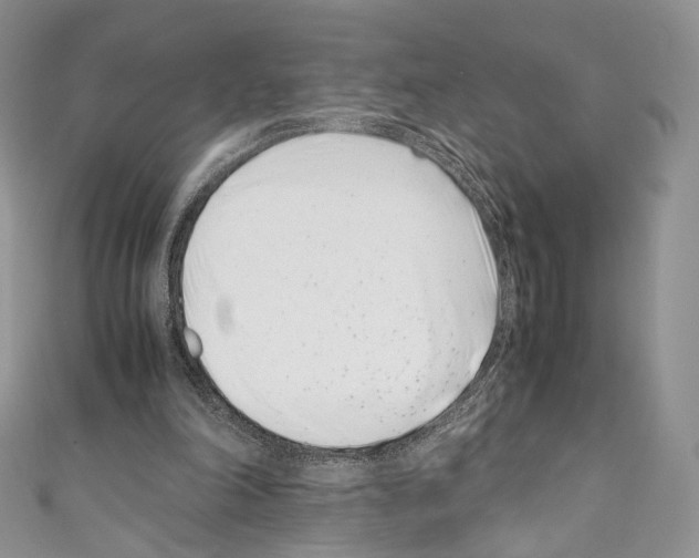 X0000110770198200907271211