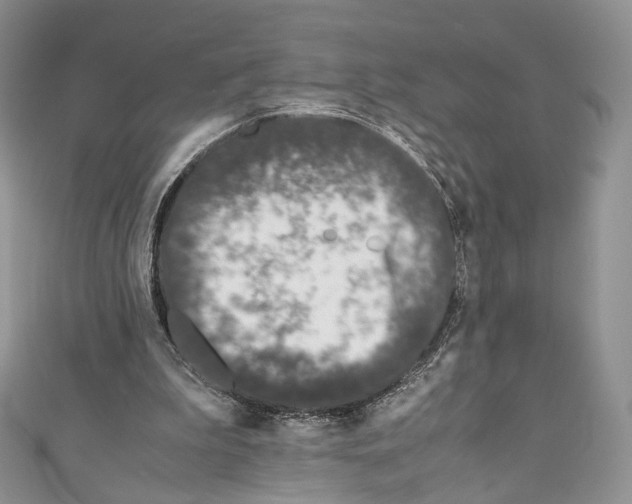 X0000110770199200907271211