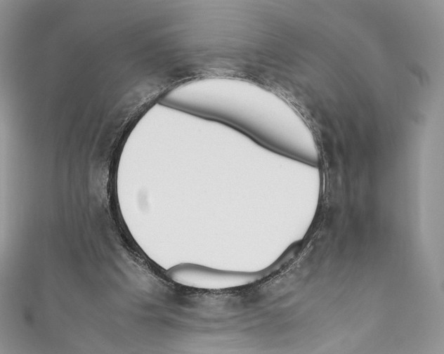 X0000110770201200907271211