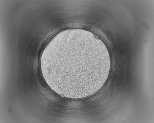 X0000110770202200907271211