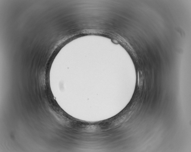 X0000110770204200907271211