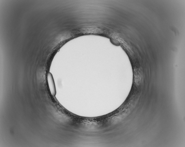 X0000110770207200907271211