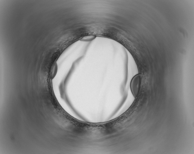 X0000110770209200907271211