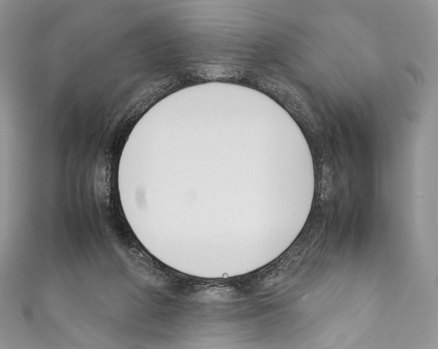 X0000110770210200907271211