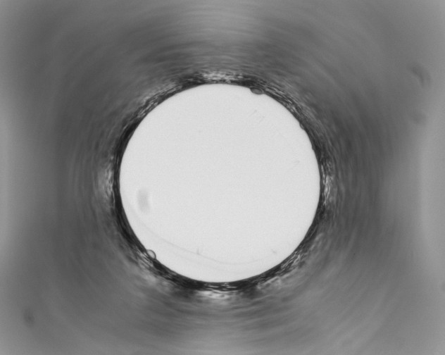 X0000110770211200907271211