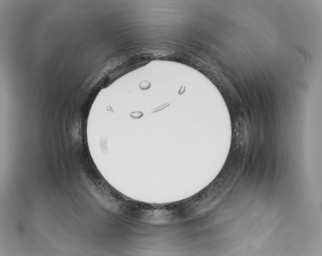 X0000110770212200907271211