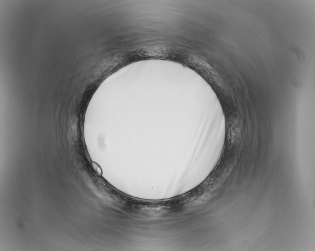 X0000110770213200907271211