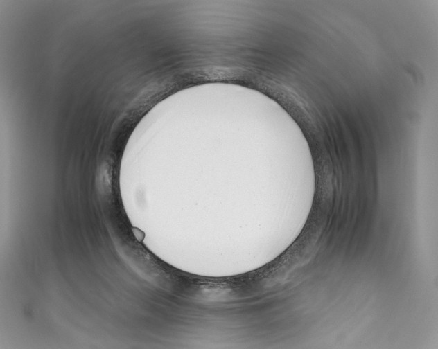 X0000110770214200907271211