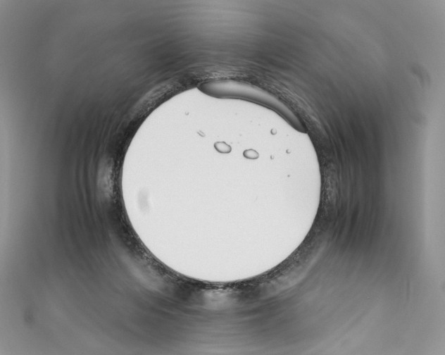 X0000110770216200907271211