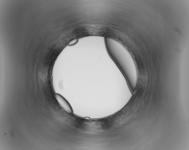 X0000110770221200907271211