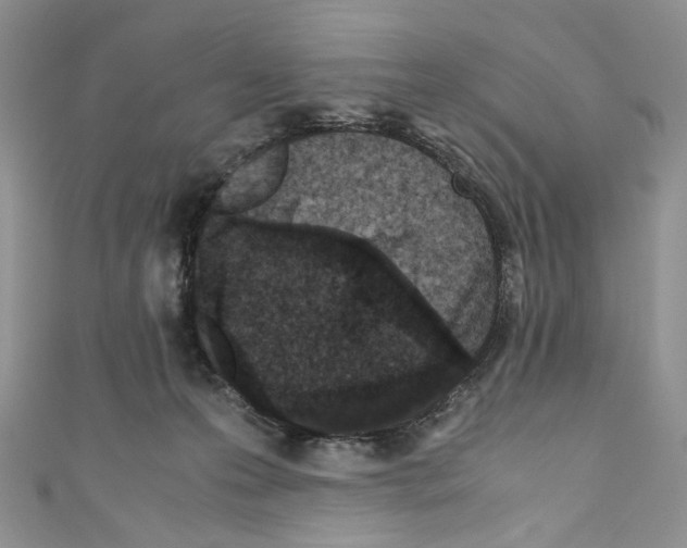 X0000110770223200907271211