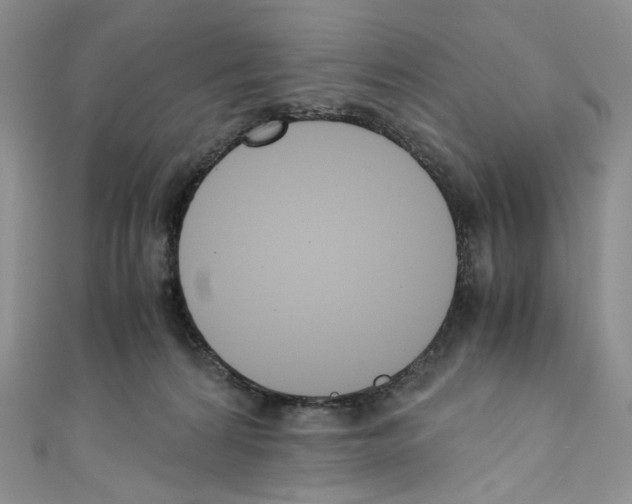 X0000110770224200907271211