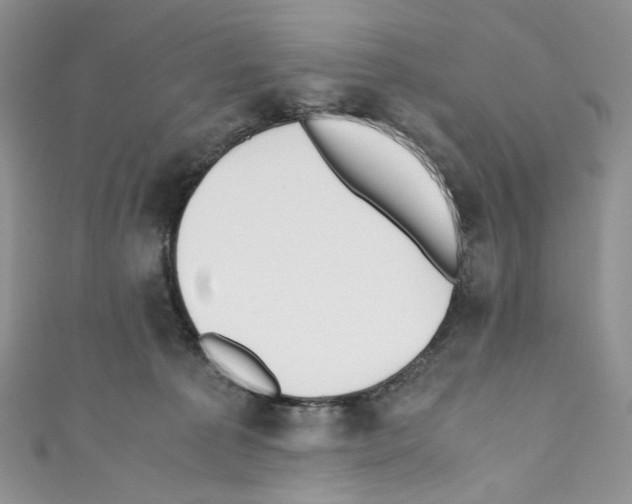 X0000110770225200907271211