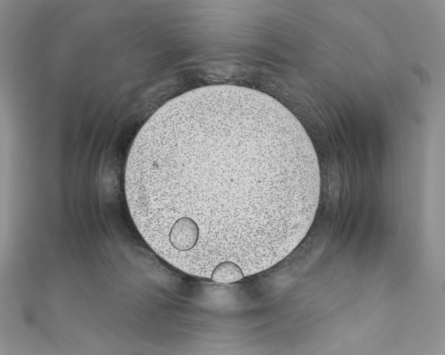 X0000110770226200907271211