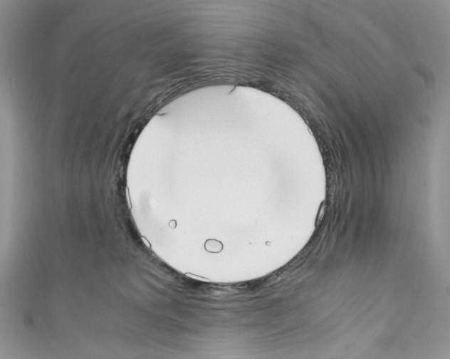 X0000110770229200907271211