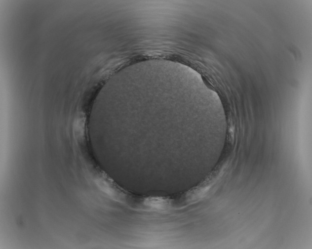 X0000110770231200907271211