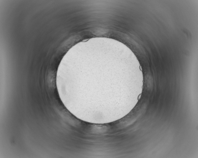 X0000110770234200907271211