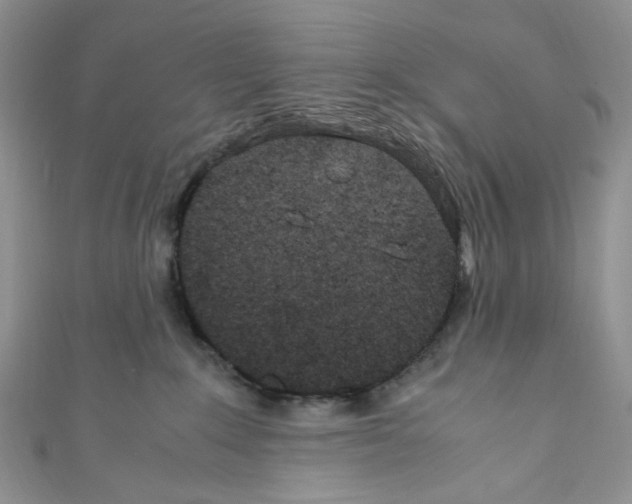 X0000110770235200907271211