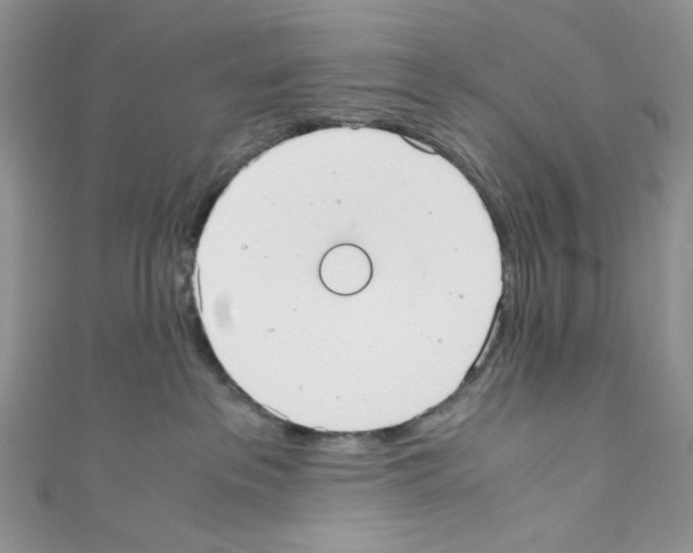 X0000110770237200907271211