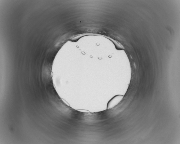 X0000110770240200907271211