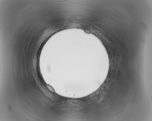 X0000110770242200907271210