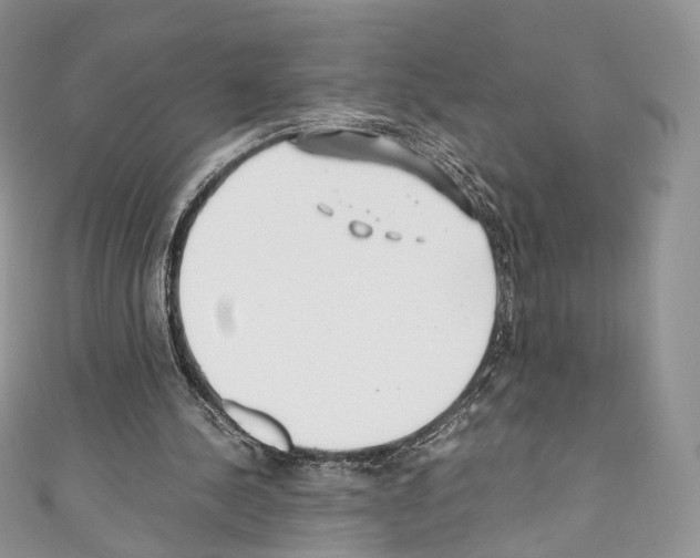 X0000110770244200907271210