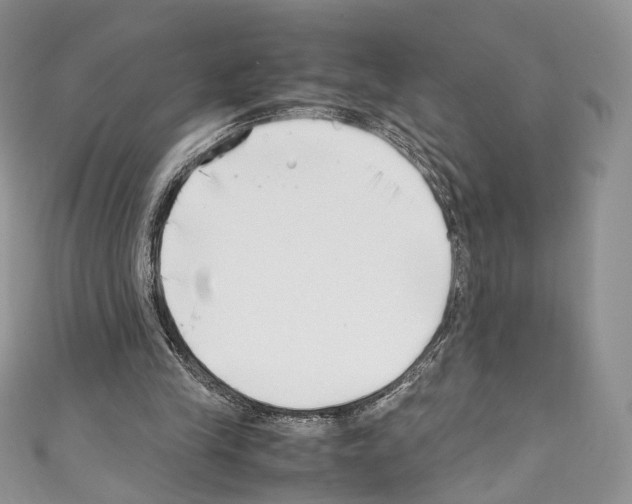 X0000110770245200907271210