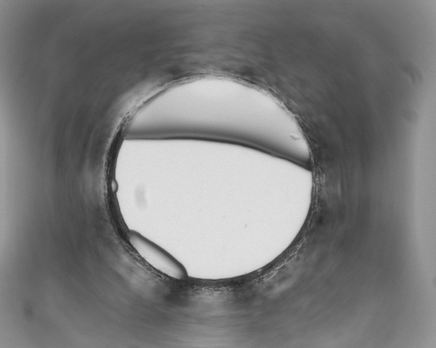 X0000110770248200907271210