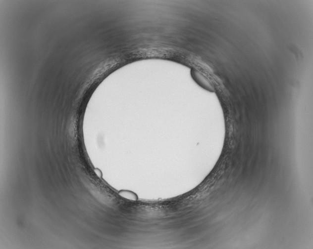 X0000110770250200907271210