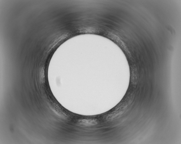 X0000110770251200907271210