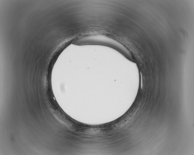 X0000110770252200907271210