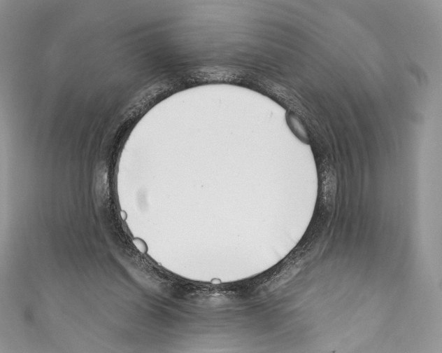 X0000110770254200907271210