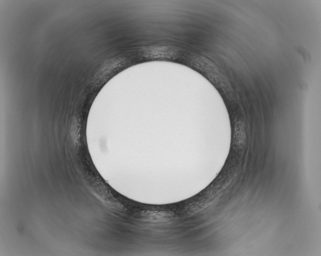 X0000110770255200907271210