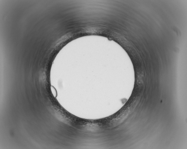 X0000110770256200907271210