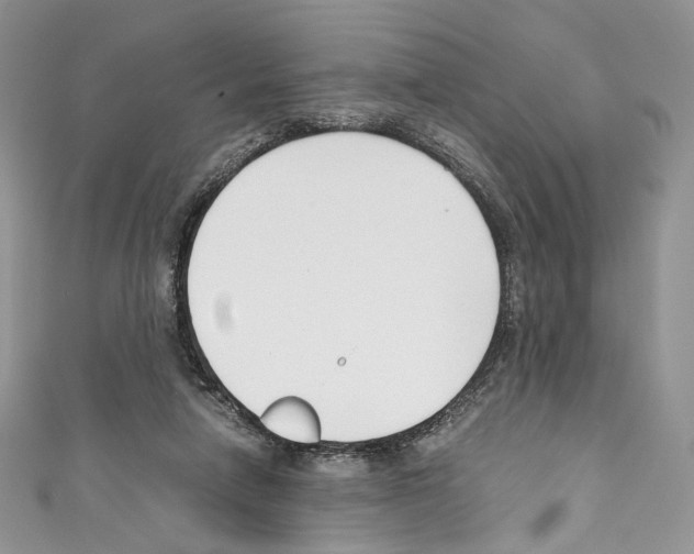 X0000110770258200907271210