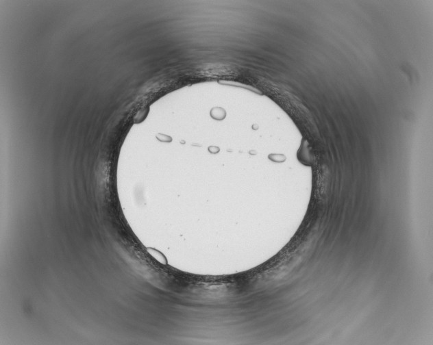 X0000110770260200907271210