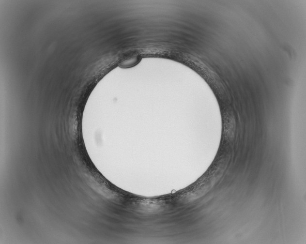 X0000110770261200907271210