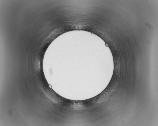 X0000110770262200907271210