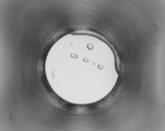 X0000110770264200907271210