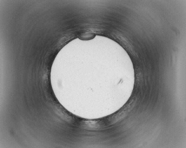 X0000110770265200907271210