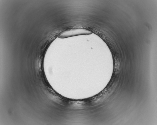 X0000110770268200907271210