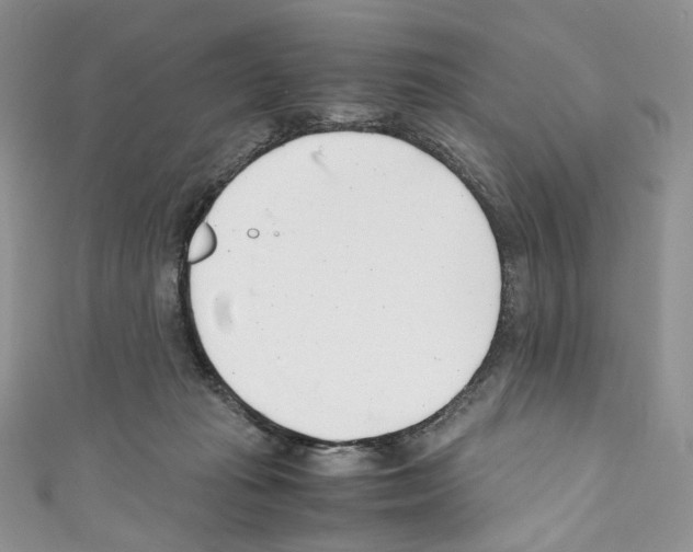 X0000110770269200907271210