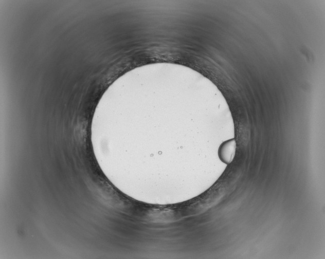 X0000110770271200907271210