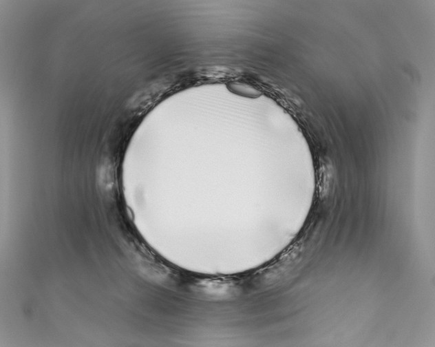 X0000110770272200907271210