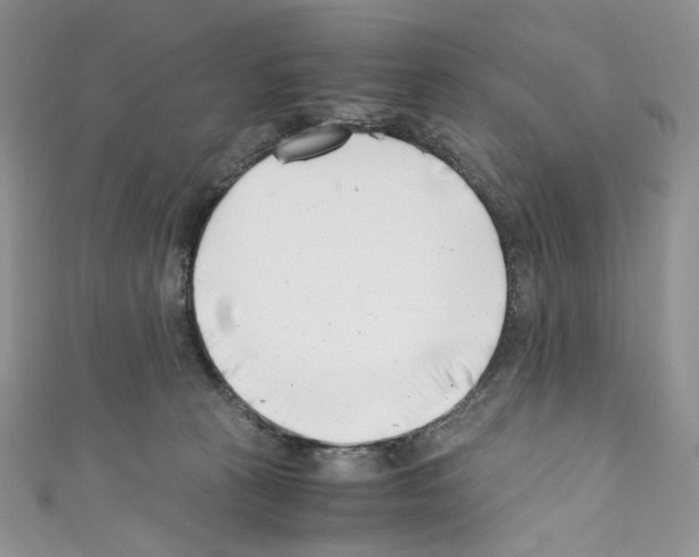 X0000110770273200907271210