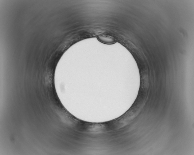 X0000110770274200907271210