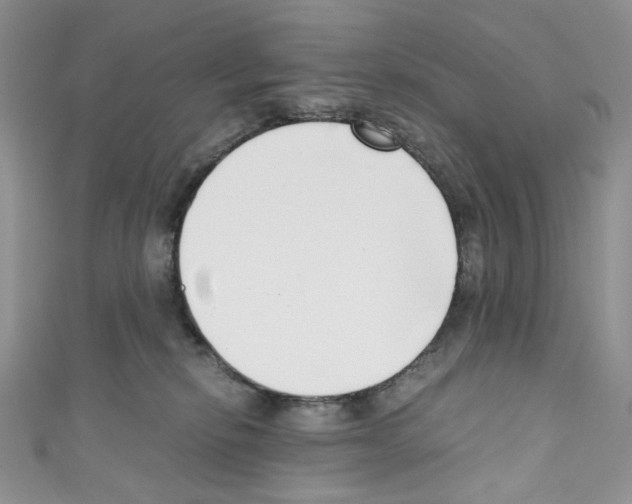 X0000110770278200907271210