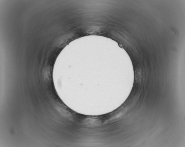 X0000110770280200907271210