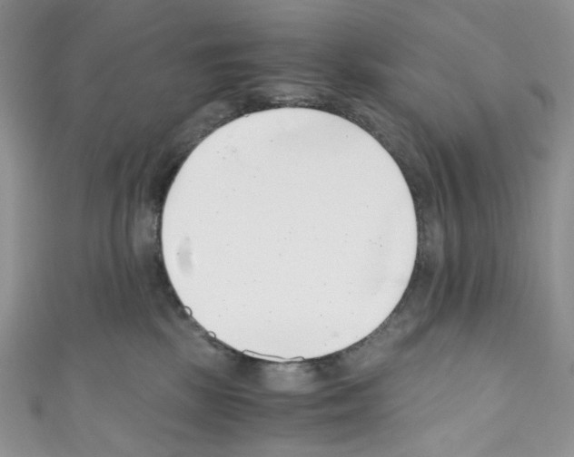 X0000110770281200907271210