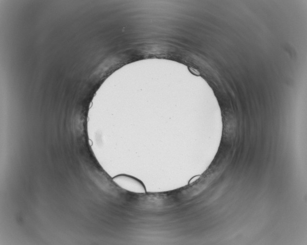 X0000110770282200907271210